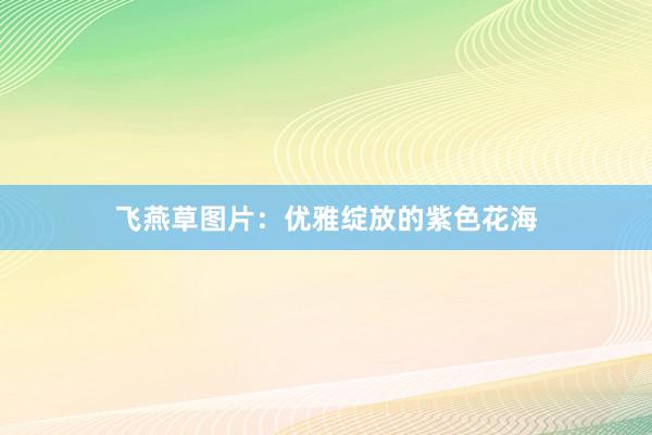 飞燕草图片：优雅绽放的紫色花海